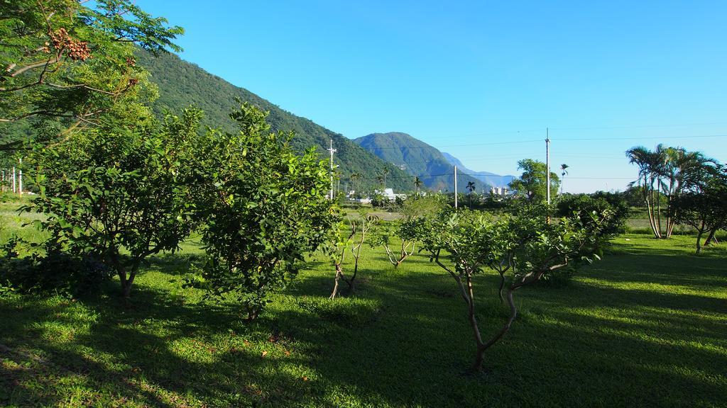 مبيت وإفطار فياسي Xincheng Township المظهر الخارجي الصورة