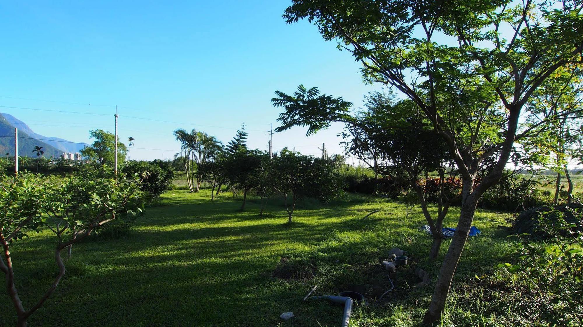 مبيت وإفطار فياسي Xincheng Township المظهر الخارجي الصورة